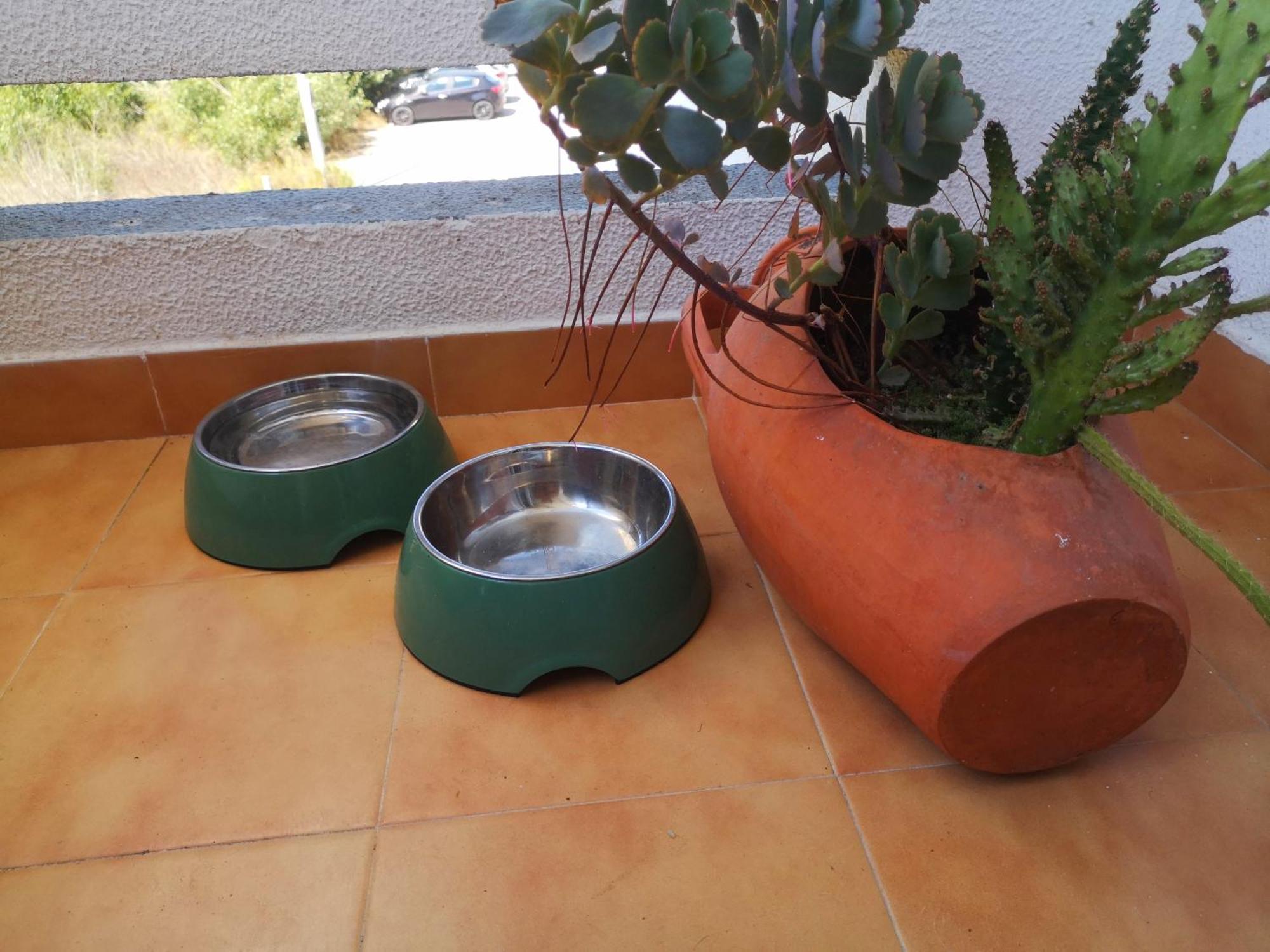 Apartament Ocean View Dive House Sesimbra Zewnętrze zdjęcie